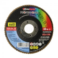 Круг Луга лепестковый КЛТ 1 Professional  125*22 P60 80 (80/10).